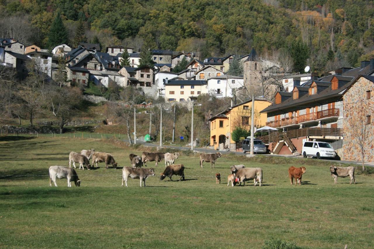 Apartmán Esera Dos Catedrales Villanova Exteriér fotografie